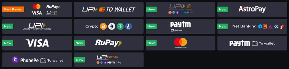 9winz Deposit methods 1