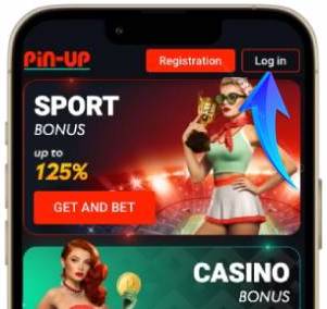 Pin Up App Login button